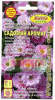 Роза Садовый аромат многоцвет.см. АЭЛ 0,03г (Мн)
